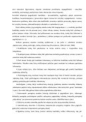 Žmogiškųjų išteklių atrankos sistemos Lietuvos kariuomenėje 13 puslapis