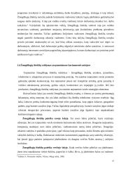 Žmogiškųjų išteklių atrankos sistemos Lietuvos kariuomenėje 19 puslapis