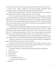 Žmogiškųjų išteklių vystymo svarba Lietuvos turizmo tarptautinio turizmo plėtrai 11 puslapis