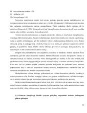 Žmogiškųjų išteklių vystymo svarba Lietuvos turizmo tarptautinio turizmo plėtrai 12 puslapis