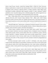 Žmogiškųjų išteklių vystymo svarba Lietuvos turizmo tarptautinio turizmo plėtrai 15 puslapis