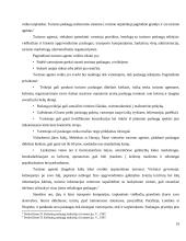 Žmogiškųjų išteklių vystymo svarba Lietuvos turizmo tarptautinio turizmo plėtrai 19 puslapis