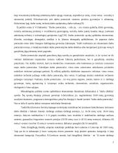 Žmogiškųjų išteklių vystymo svarba Lietuvos turizmo tarptautinio turizmo plėtrai 5 puslapis