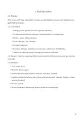 Antibiotikų poveikis mikroorganizmams 12 puslapis