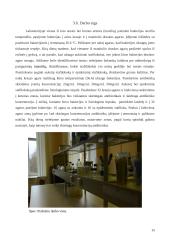 Antibiotikų poveikis mikroorganizmams 14 puslapis