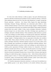 Antibiotikų poveikis mikroorganizmams 4 puslapis