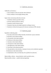 Antibiotikų poveikis mikroorganizmams 6 puslapis