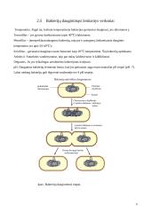 Antibiotikų poveikis mikroorganizmams 9 puslapis
