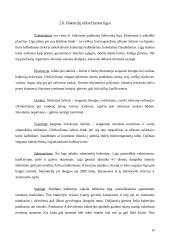 Antibiotikų poveikis mikroorganizmams 10 puslapis