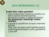 Išvežimo bendroji deklaracija (EXS)  2 puslapis