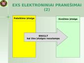 Išvežimo bendroji deklaracija (EXS)  12 puslapis