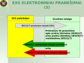 Išvežimo bendroji deklaracija (EXS)  13 puslapis
