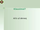 Išvežimo bendroji deklaracija (EXS)  16 puslapis