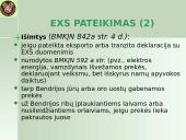 Išvežimo bendroji deklaracija (EXS)  3 puslapis