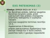 Išvežimo bendroji deklaracija (EXS)  4 puslapis