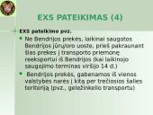 Išvežimo bendroji deklaracija (EXS)  5 puslapis