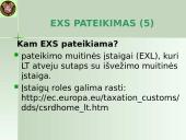 Išvežimo bendroji deklaracija (EXS)  6 puslapis