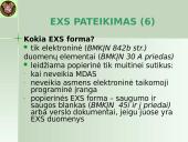 Išvežimo bendroji deklaracija (EXS)  7 puslapis