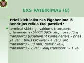 Išvežimo bendroji deklaracija (EXS)  9 puslapis