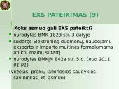 Išvežimo bendroji deklaracija (EXS)  10 puslapis