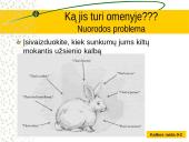 Kalbos raida skaidrės 15 puslapis