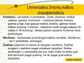 Kalbos raida skaidrės 4 puslapis