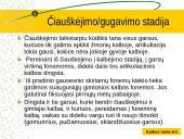 Kalbos raida skaidrės 9 puslapis