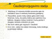 Kalbos raida skaidrės 10 puslapis