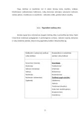 Ikimokyklinio amžiaus (4-5 m.) vaikų judrieji žaidimai 11 puslapis