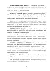 Ikimokyklinio amžiaus (4-5 m.) vaikų judrieji žaidimai 12 puslapis