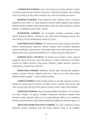 Ikimokyklinio amžiaus (4-5 m.) vaikų judrieji žaidimai 13 puslapis