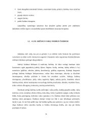 Ikimokyklinio amžiaus (4-5 m.) vaikų judrieji žaidimai 16 puslapis