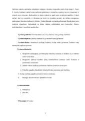 Ikimokyklinio amžiaus (4-5 m.) vaikų judrieji žaidimai 5 puslapis