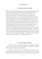 Ikimokyklinio amžiaus (4-5 m.) vaikų judrieji žaidimai 7 puslapis