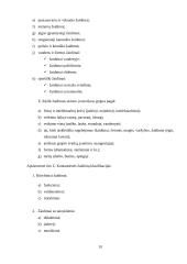 Ikimokyklinio amžiaus (4-5 m.) vaikų judrieji žaidimai 10 puslapis