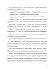 Lidl įmonės įvaizdžio formavimas ir vartotojų požiūris 6 puslapis