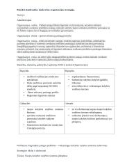 Konkrečios organizacijos strategija