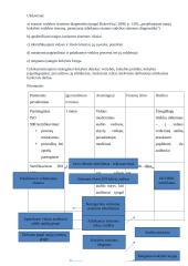 Konkrečios organizacijos strategija 2 puslapis