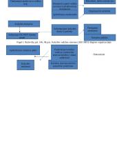 Konkrečios organizacijos strategija 3 puslapis