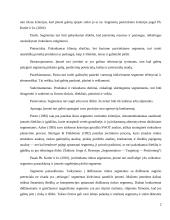 Panele.lt plėtros galimybes 2 puslapis