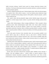 Panele.lt plėtros galimybes 11 puslapis