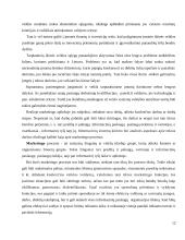 Panele.lt plėtros galimybes 12 puslapis