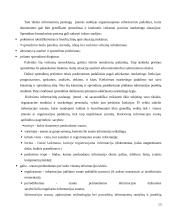 Panele.lt plėtros galimybes 13 puslapis