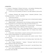 Panele.lt plėtros galimybes 17 puslapis