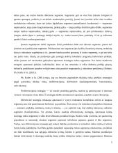 Panele.lt plėtros galimybes 3 puslapis