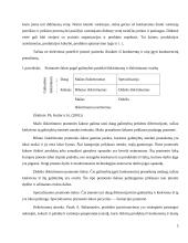 Panele.lt plėtros galimybes 5 puslapis