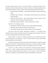 Panele.lt plėtros galimybes 6 puslapis