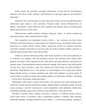 Panele.lt plėtros galimybes 7 puslapis