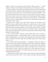 Panele.lt plėtros galimybes 10 puslapis