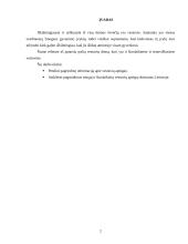 Senųjų ir šiuolaikinių vestuvių skirtumai Lietuvoje 2 puslapis